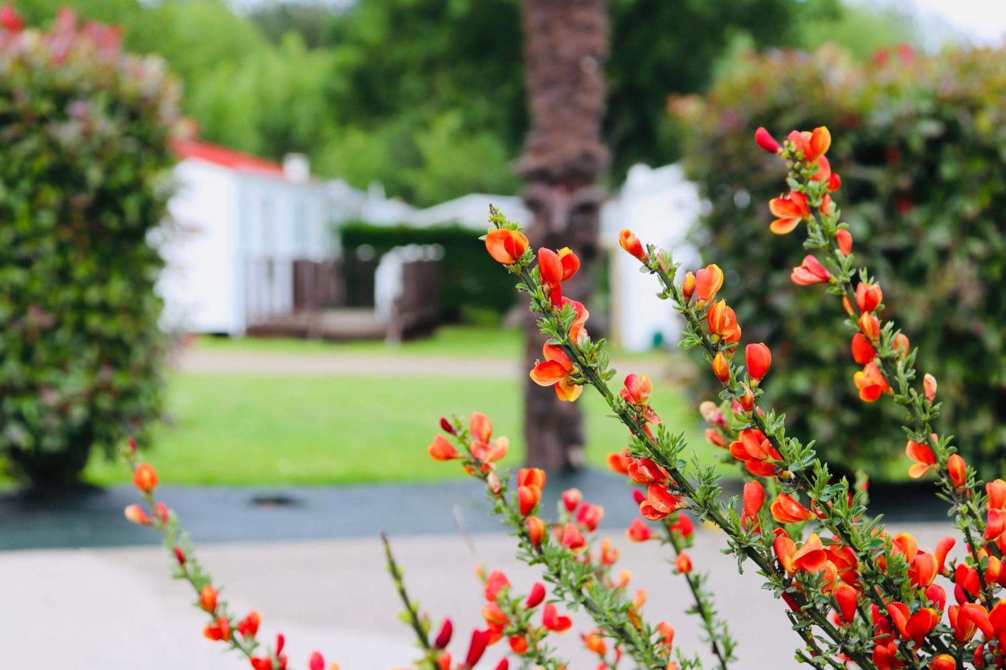 Camping Les Mancellieres Avrille  Exterior photo