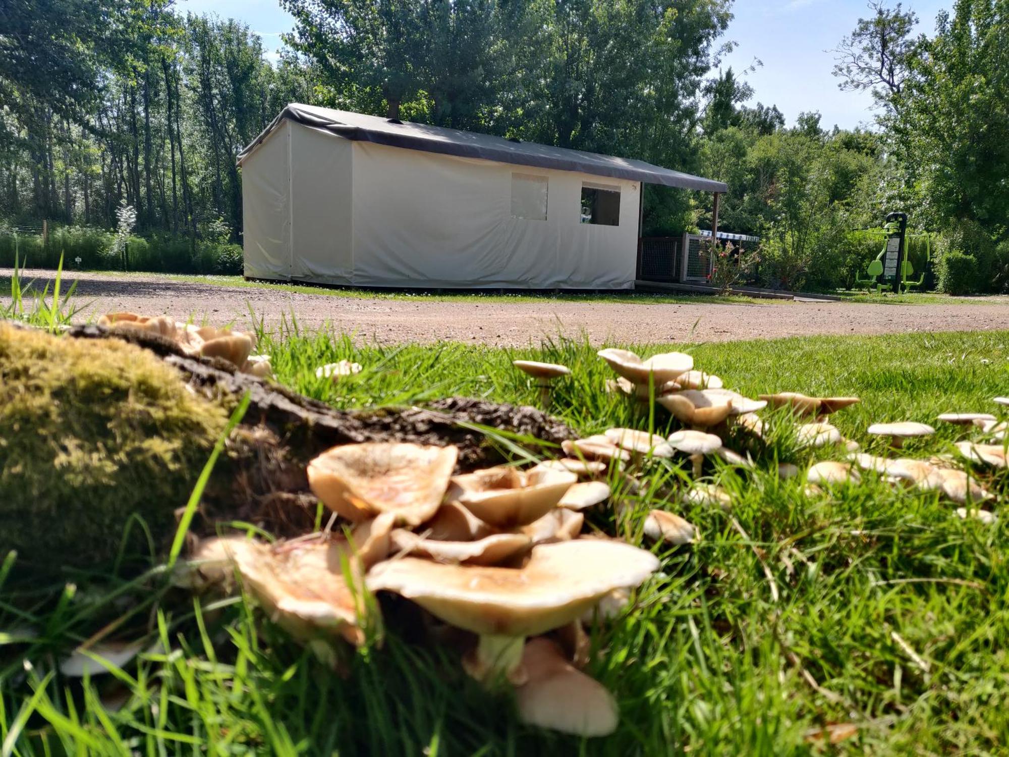 Camping Les Mancellieres Avrille  Exterior photo