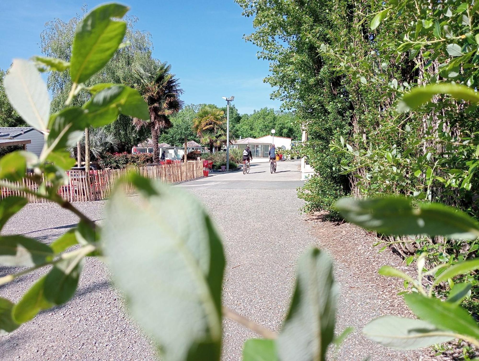 Camping Les Mancellieres Avrille  Exterior photo