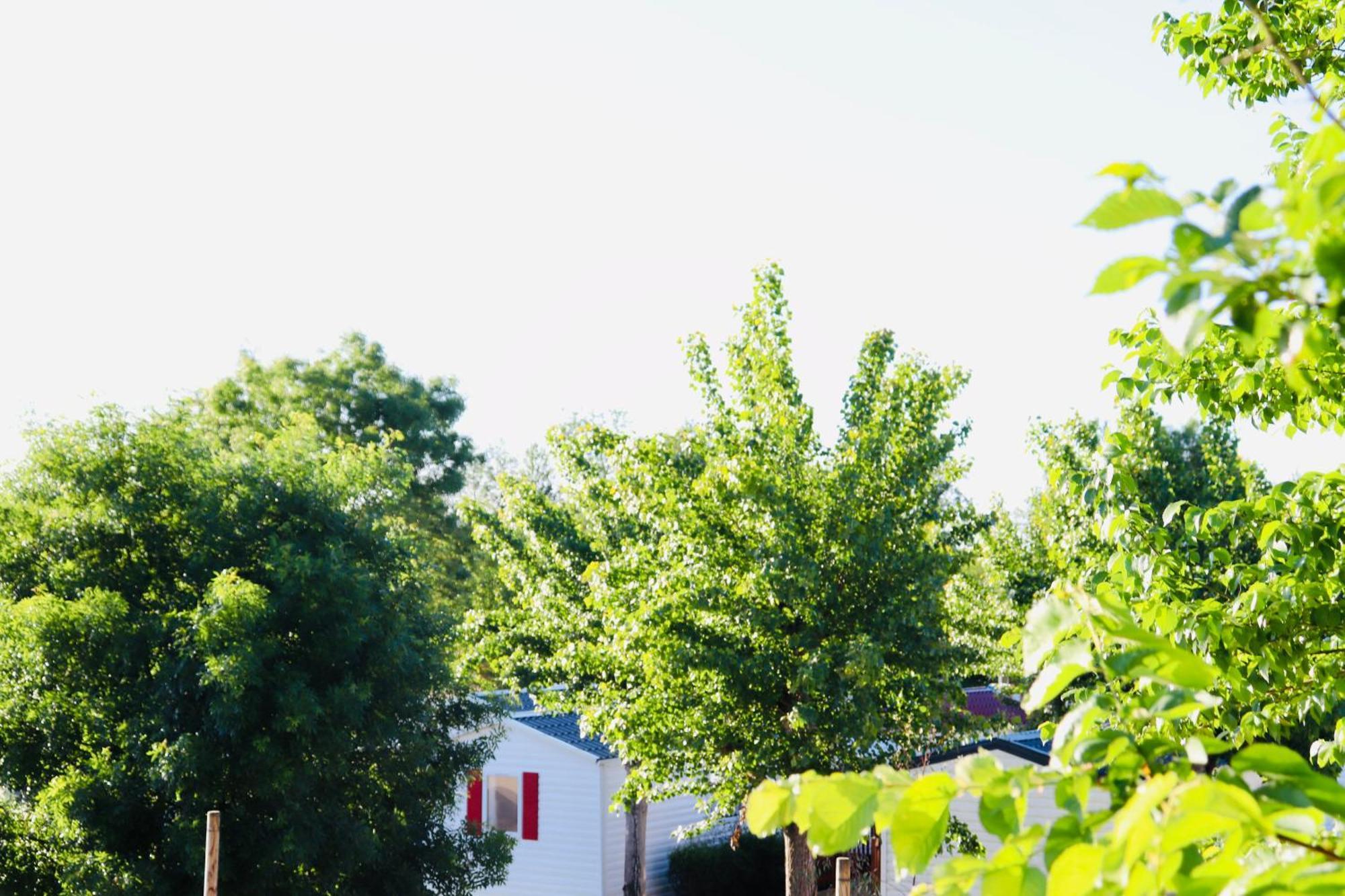 Camping Les Mancellieres Avrille  Exterior photo